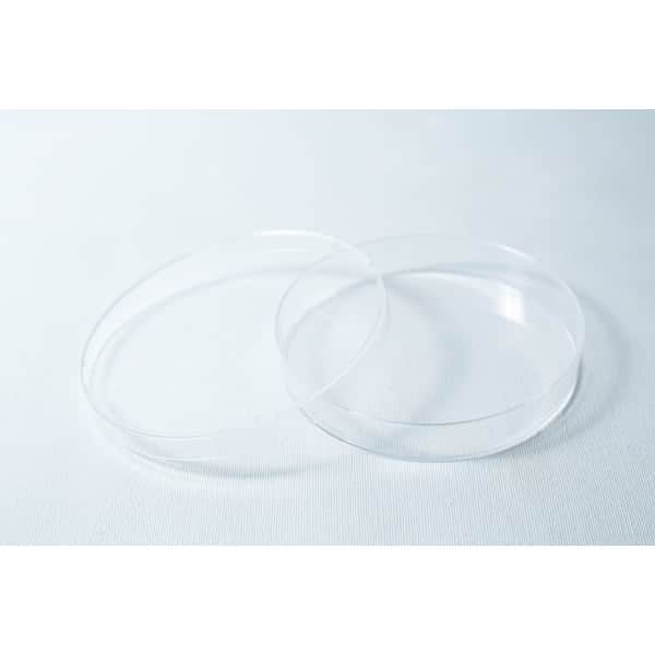 Single Agar plastic petri dish open