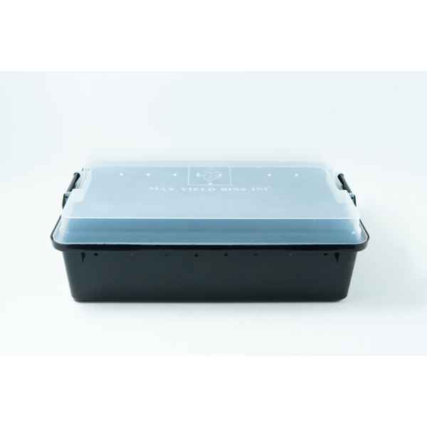 Black Container with colonising lid