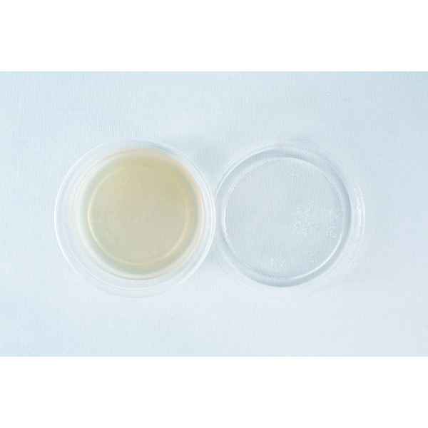 Biodegradable-agar-cups-inside1-viw