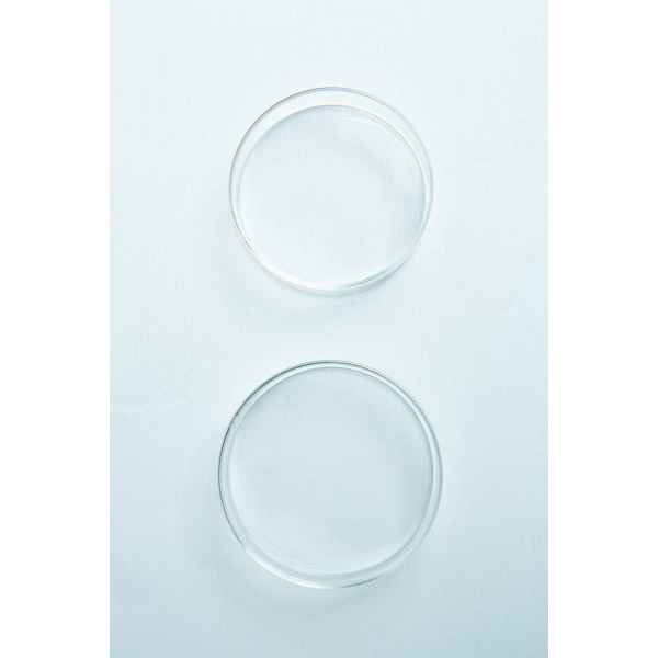 Glass Petri Dish couple