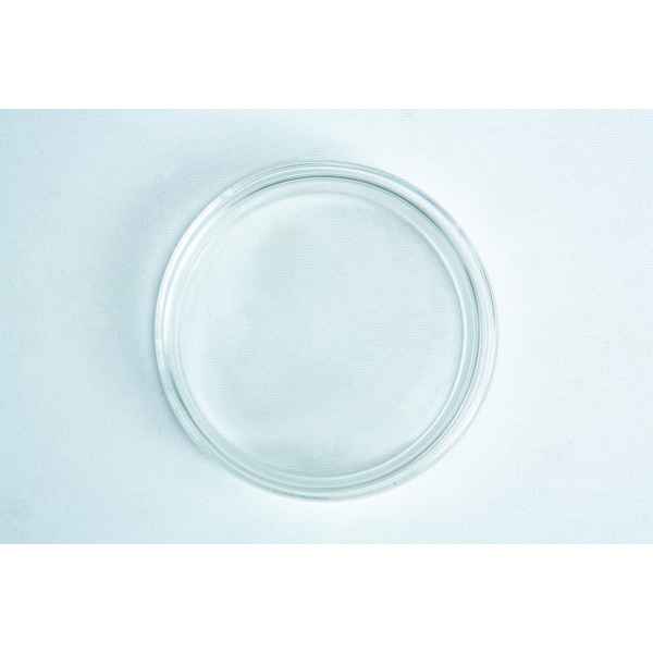 Single Glass Petri Dish