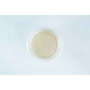 Biodegradable agar cups MEA/MEAG